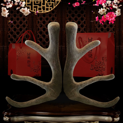 Nhung hươu biếu tết